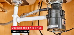 replace garbage disposal