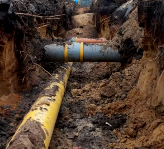 Sewer Line Damage