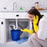 plumbing company in Houston